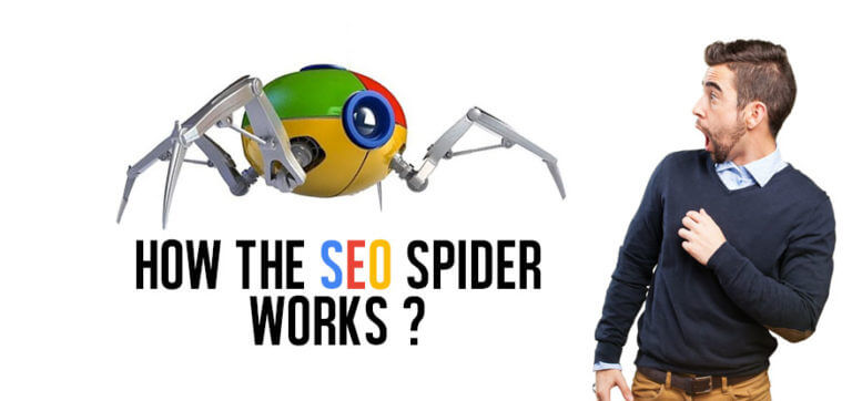how-the-seo-spider-works